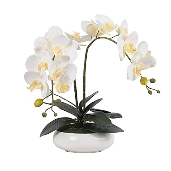 Artificial Bonsai Orchid Bonsai Living Room Coffee Table Table Decoration Suitable for Living Room Study Hotel 51883403
