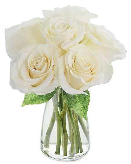 KaBloom PRIME NEXT DAY DELIVERY - BIRTHDAY COLLECTION - PREMIUM 6 White Roses With Vase.Gift for Birthday, Sympathy, Anniversary, Get Well, Thank You, Valentine, Mother’s Day Fresh Flowers 768749576