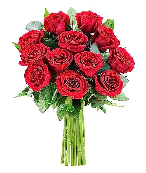 KaBloom PRIME NEXT DAY DELIVERY - Tajum Collection - Heavenly Roses: Bouquet of 12 Red Roses with Greens.Gift for Birthday, Sympathy, Anniversary, Thank You, Valentine, Mother’s Day Fresh Flowers 174148630
