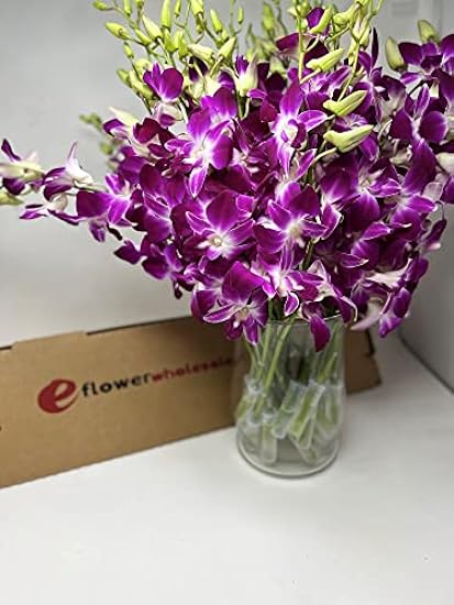 Fresh Cut Orchids - 30 stems Purple Dendrobium Orchids with Big Vase 183052579