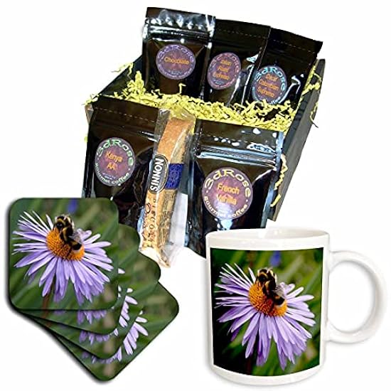 3dRose cgb_12968_1 Light Purple Flower with Bee-Coffee 