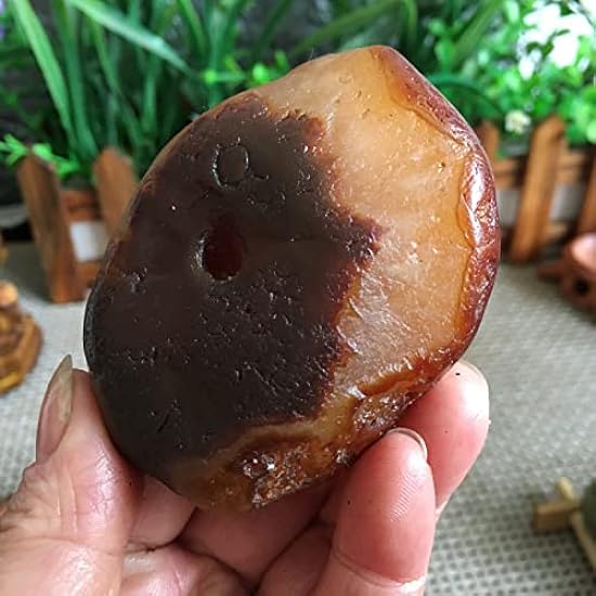 171g Bonsai Suiseki-Natural Gobi Agate Eyes Stone-Rare 
