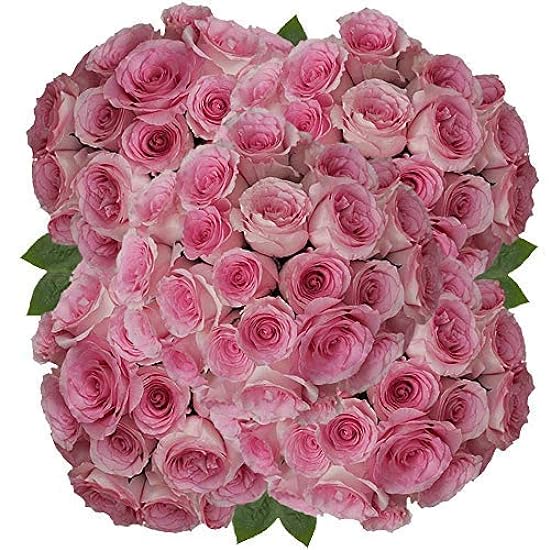 GlobalRose 200 Roses Champagne and Light Pink- Beautifu