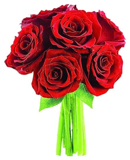KaBloom PRIME NEXT DAY DELIVERY - Red Roses 6 with Gree