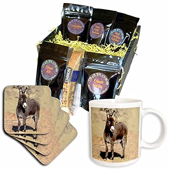 3dRose Miniature Donkey Coffee Gift Basket, Multi 66871