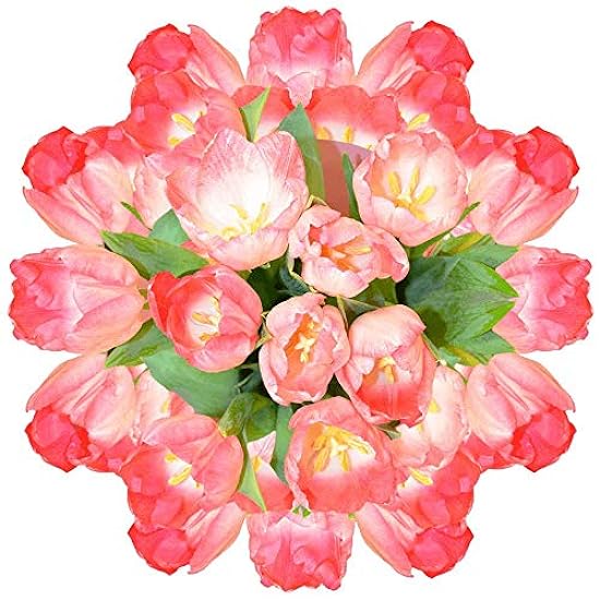 GlobalRose 30 Stems of Pink Tulips Flowers - Fresh Flow