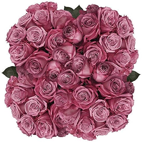 GlobalRose 150 Lavender Roses- Beautiful Moody LongRoses- Fresh Flowers 936863052
