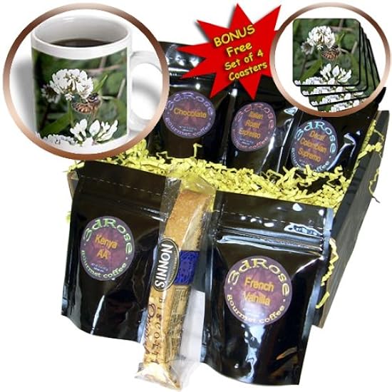 3dRose cgb_12262_1 Clover Bee-Coffee Gift Basket, Multicolor 54748892